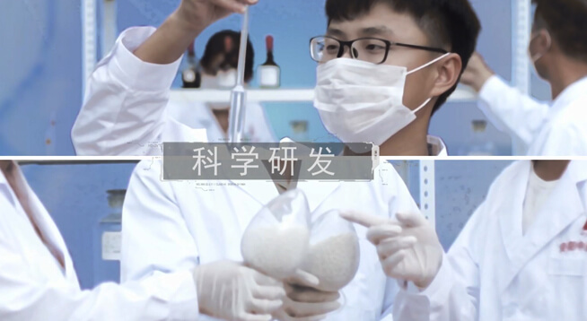 研發實力